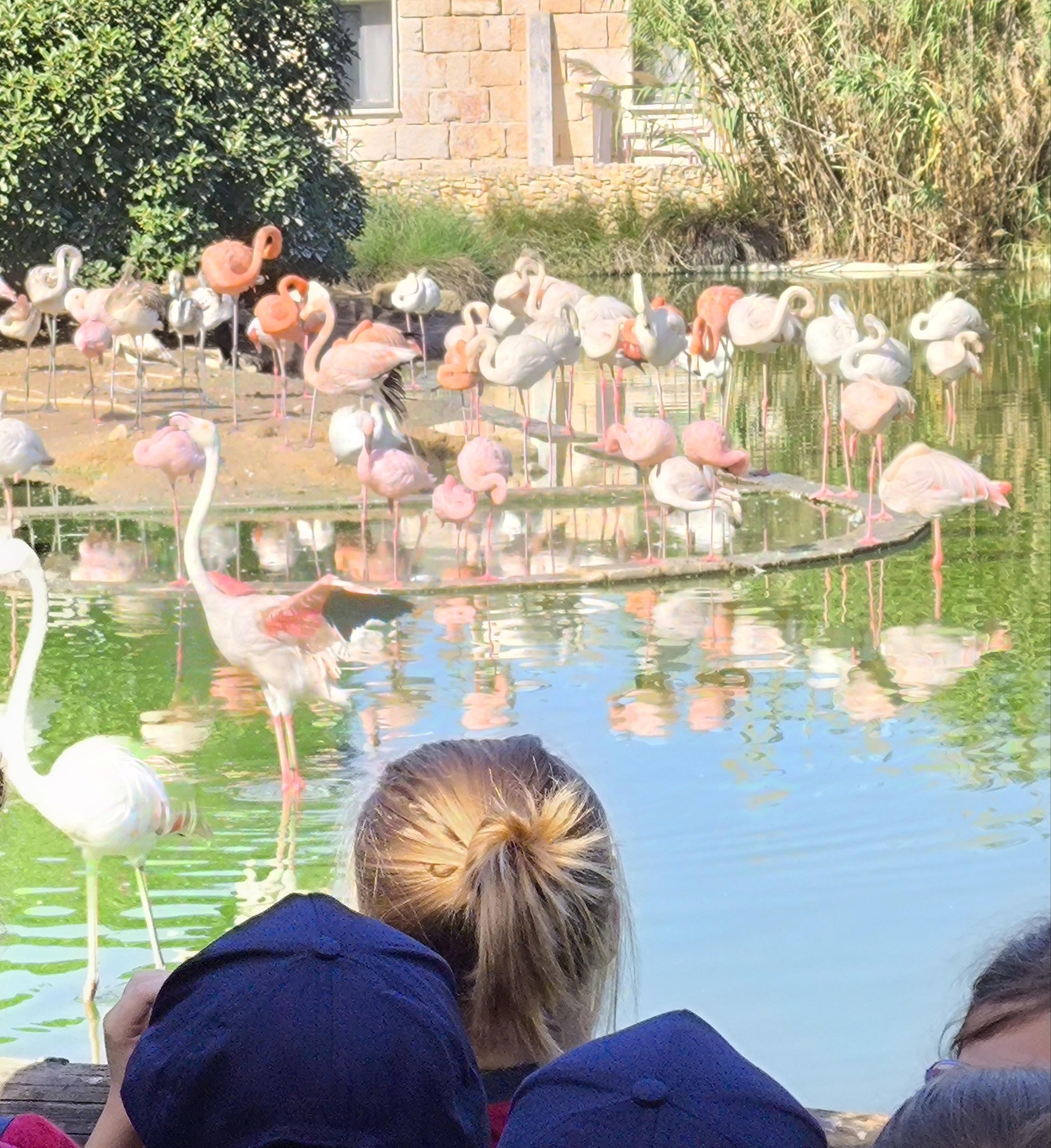 School events placeholder